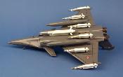 Rafale B Armée Air - 1/40 38x27cm